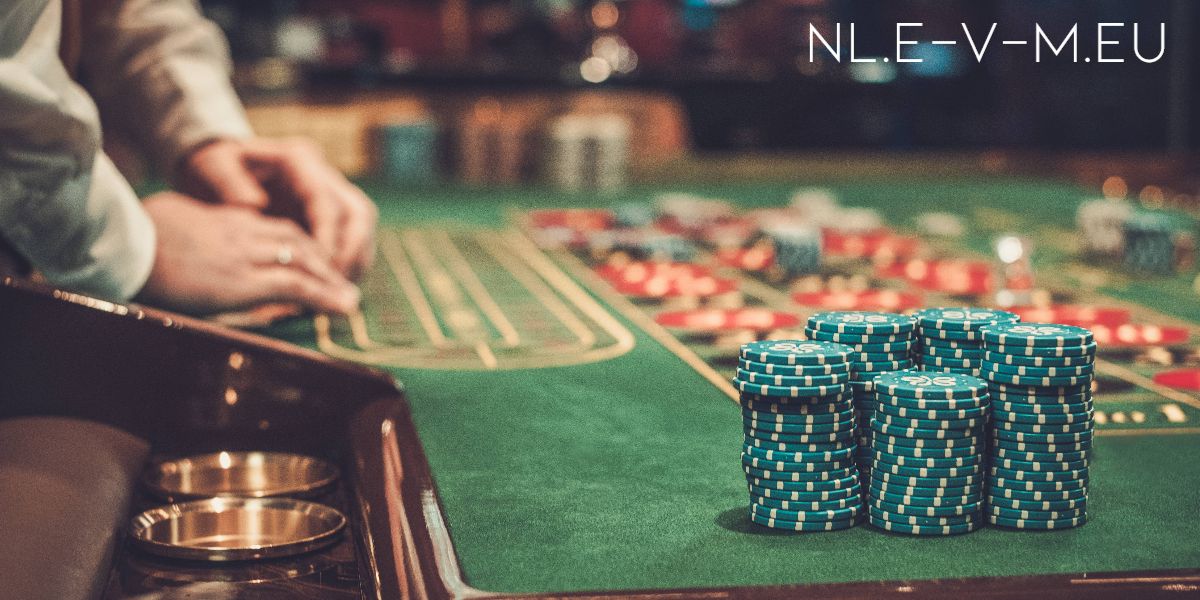 nl.e-v-m.eu
